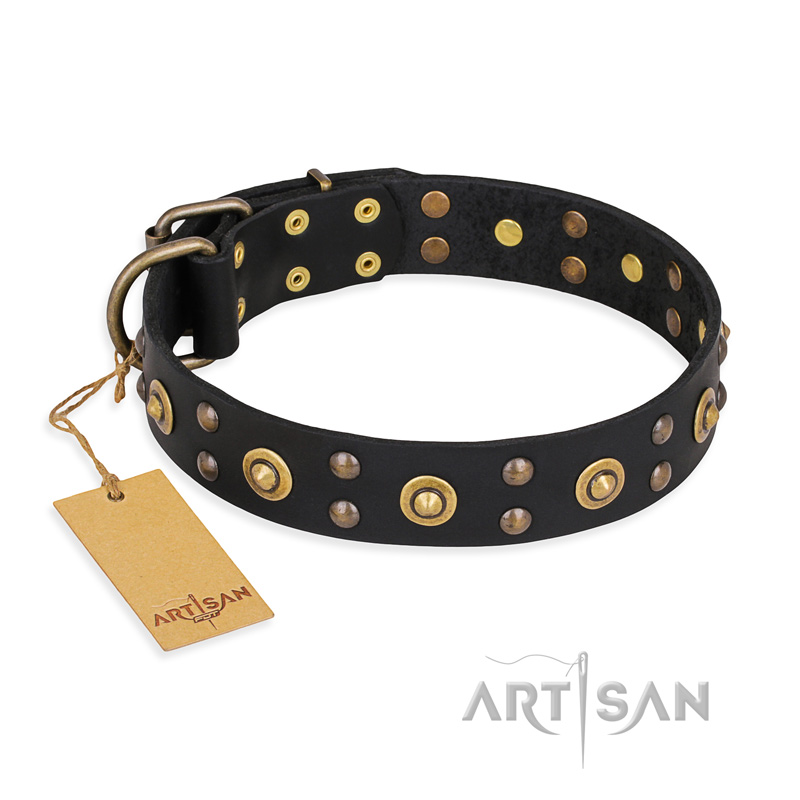 "Cosmic Glow" FDT Artisan Black Leather dog Collar with Brass-Plated Studs - Click Image to Close