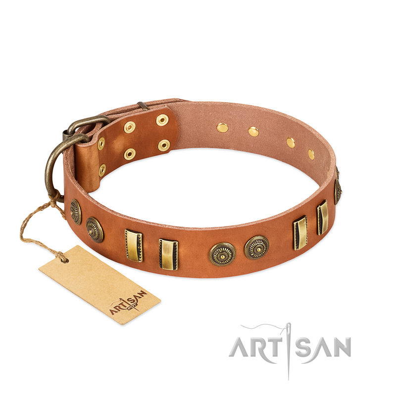 "Natural Beauty" FDT Artisan Tan Leather dog Collar with Old Bronze-like Circles and Plates