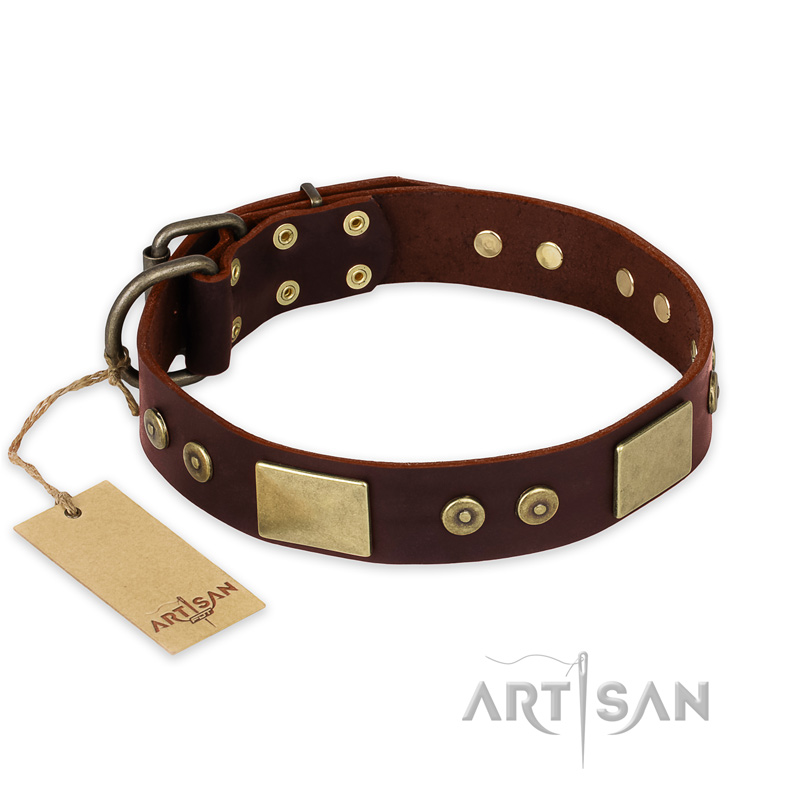 "Shining Armour" FDT Artisan Brown Leather dog Collar with Decorations