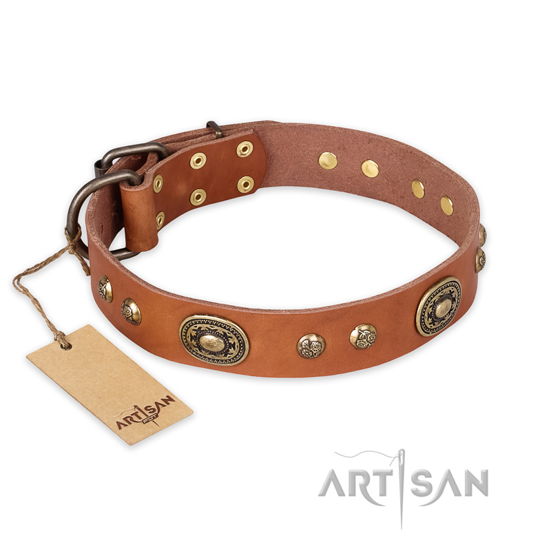 "Stunning Dress" FDT Artisan Tan Leather dog Collar with Old Bronze Look Plates and Studs