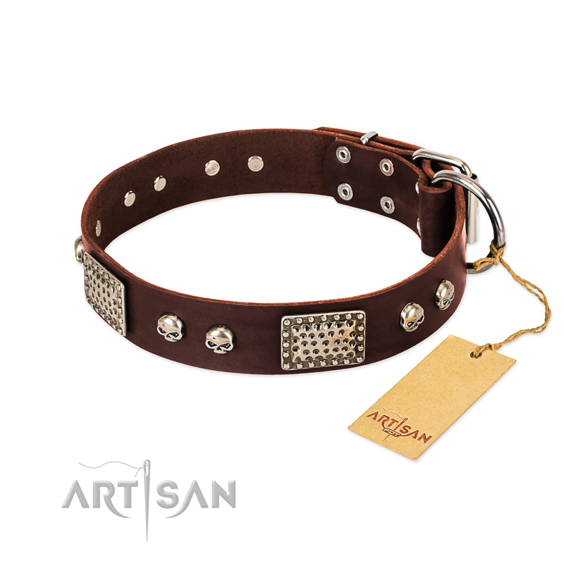 "Pirate Skull" FDT Artisan Brown Leather dog Collar with Old Silver Look Plates and Skulls