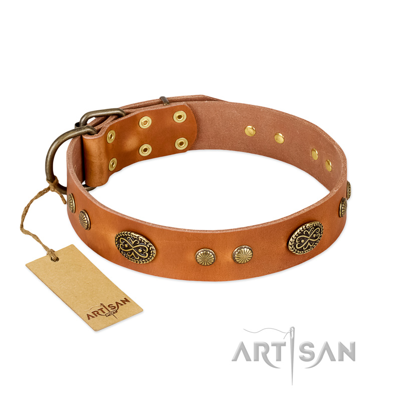 "Sun Beams" FDT Artisan Tan Leather dog Collar with Decorations