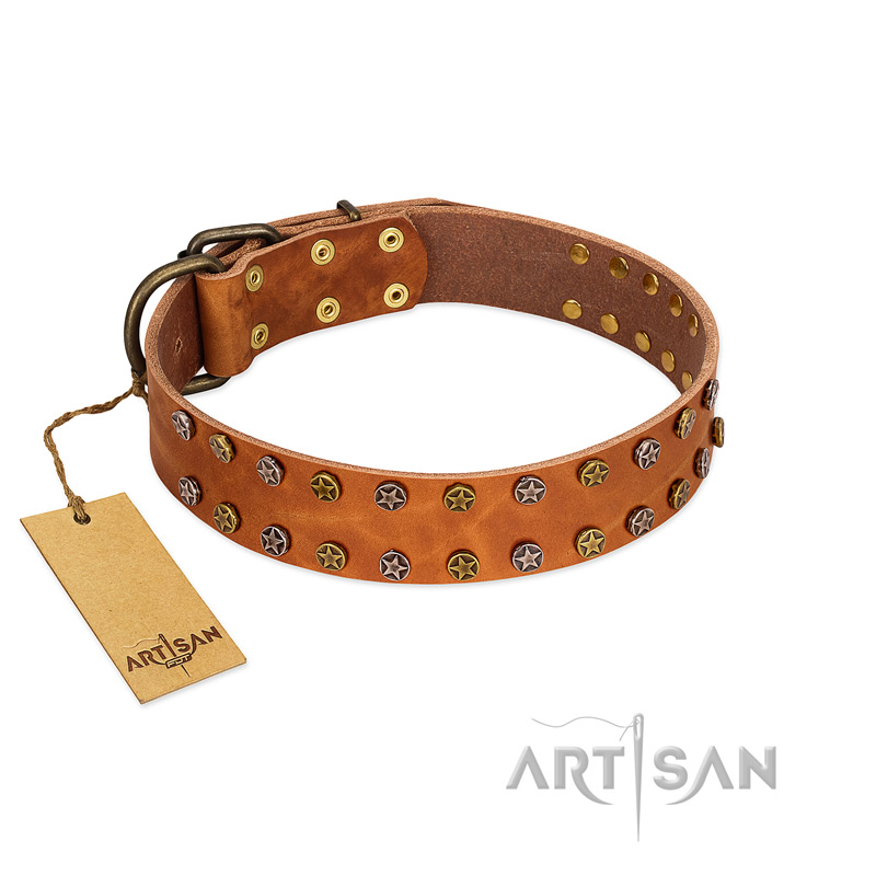 "Walk and Shine" FDT Artisan Tan Leather dog Collar with Antiqued Studs