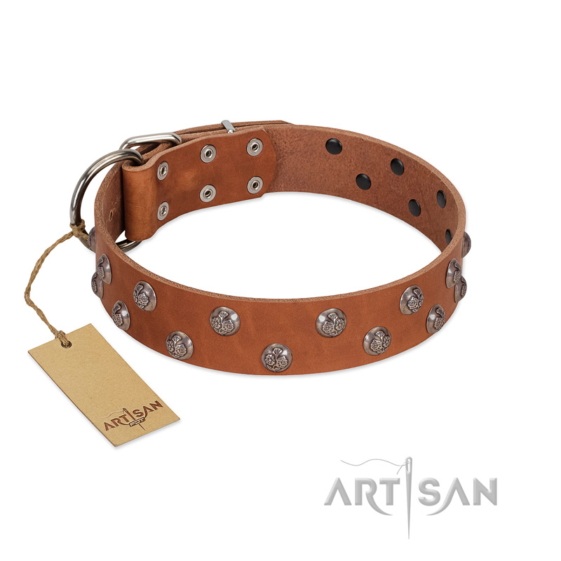 "Waltz of the Flowers" Handmade FDT Artisan Tan Leather dog Collar with Chrome-plated Engraved Studs