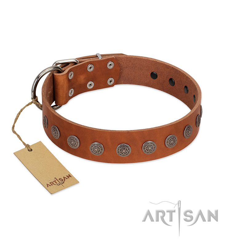 "Lucky Star" Handmade FDT Artisan Designer Tan Leather dog Collar with Round Plates