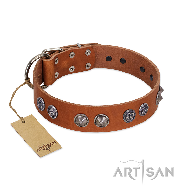 "Silver Necklace" Incredible FDT Artisan Tan Leather dog Colar with Silver-Like Adornments