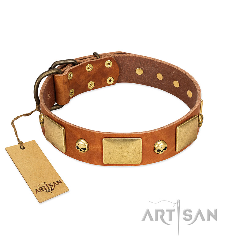 "Mutt The Daredevil" FDT Artisan Tan Leather dog Collar with Old Bronze-like Skulls and Plates