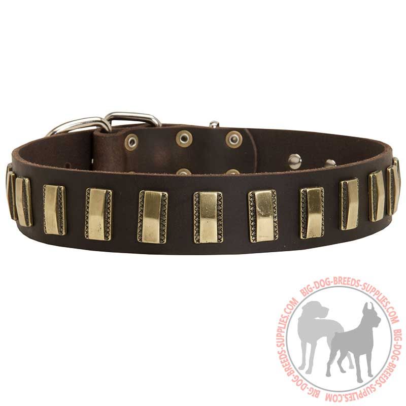 Designer Leather Dog Collar with Amazing Brass Plates