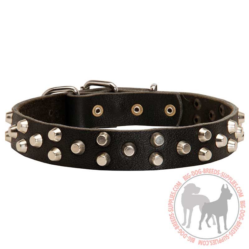 Designer Pyramid Studded Leather Canine Collar