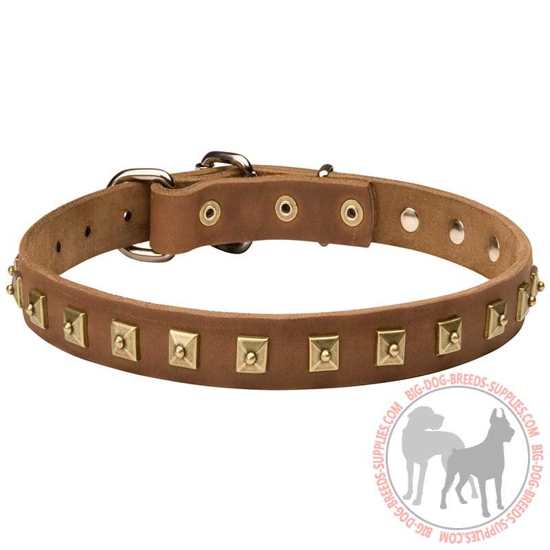 Awesome Leather Canine Collar with 1 Row of Nickel Studs 25 mm wide