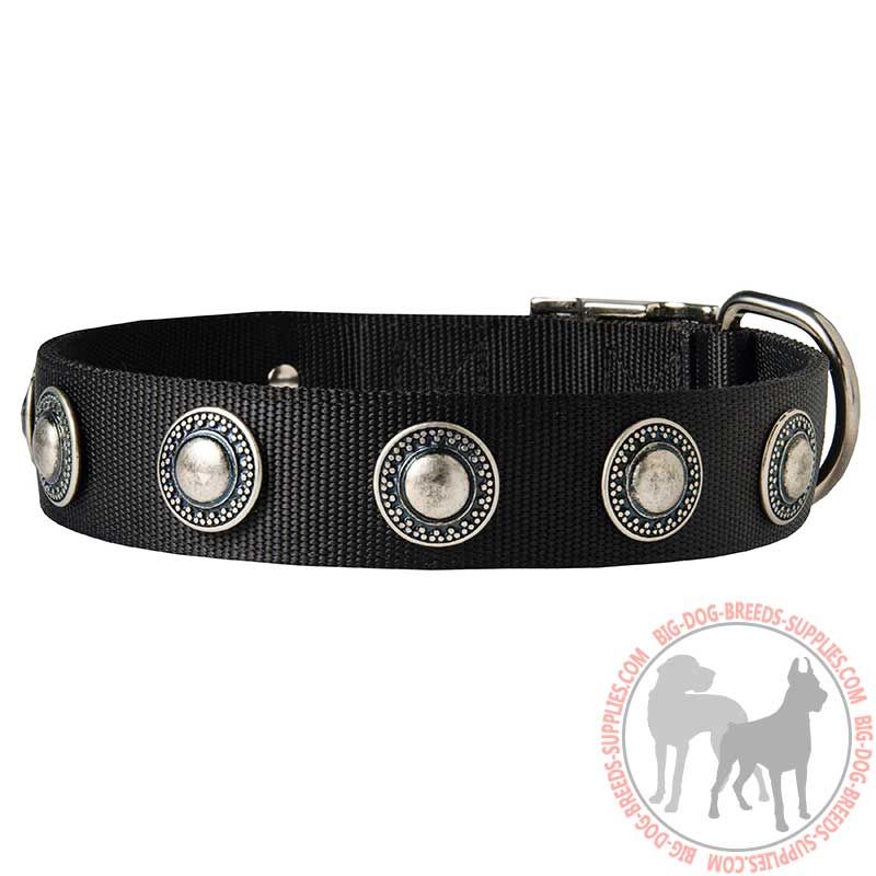 Conchos Decorated Wide Nylon Dog Collar for Walking