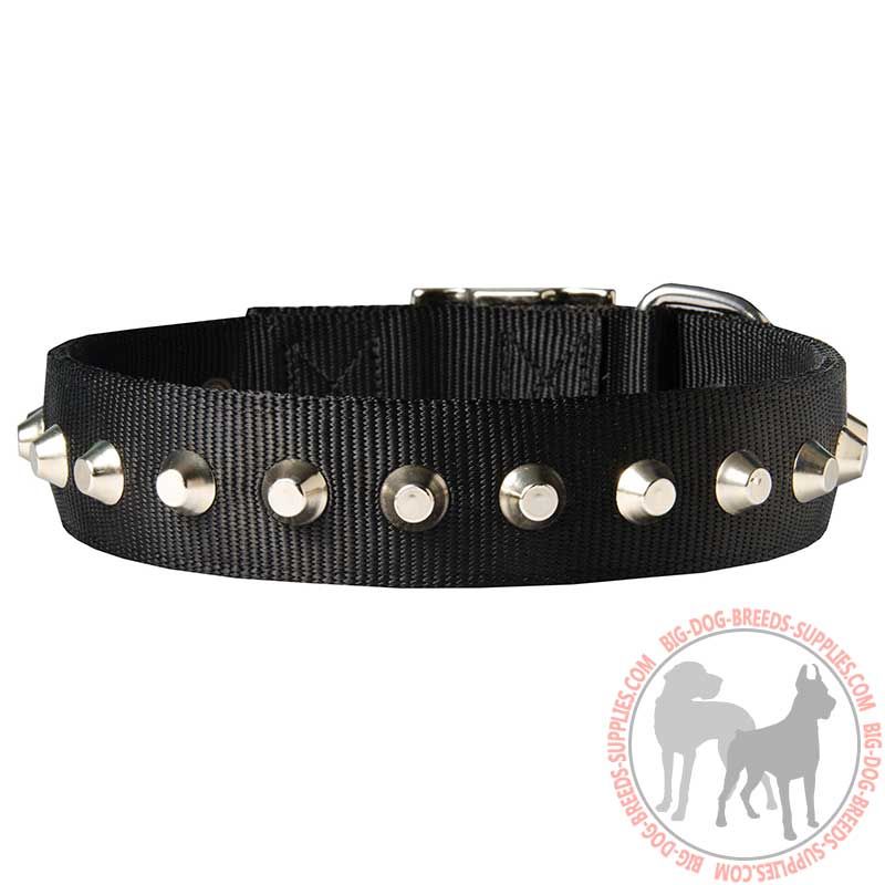 Beautiful Wide Nylon Dog Collar With Nickel Pyramids