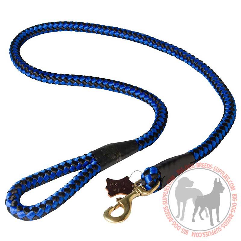Cord type nylon dog leash for large dogs walking