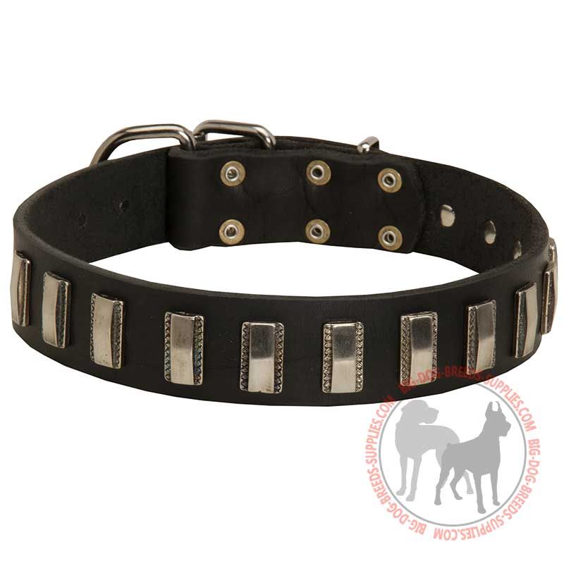 Fashion Leather Dog Collar with Vertical Nickel Plates