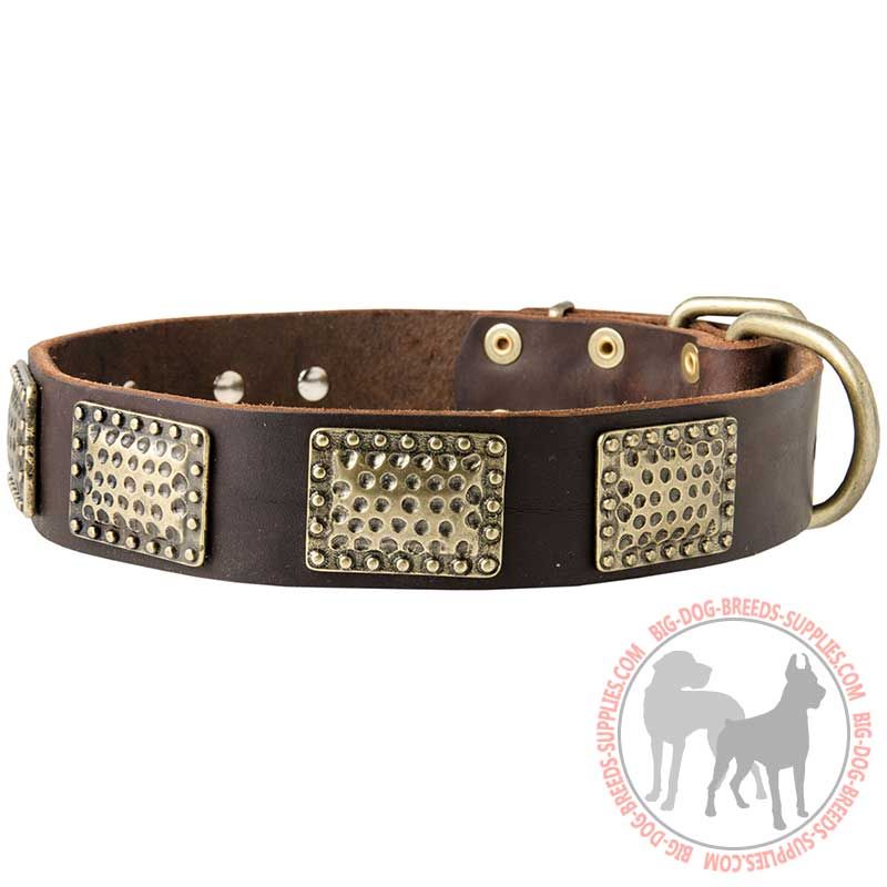 Designer Leather Dog Collar with Hammered Vintage BRASS Plates