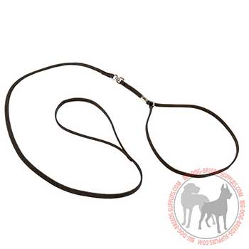 Black Dog Nylon Leash and Collar