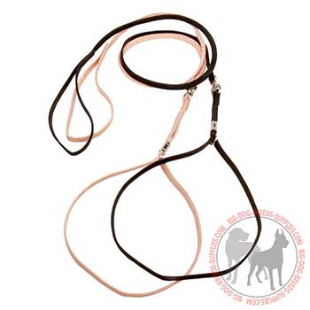 Nylon Dog Lead and Collar Combo