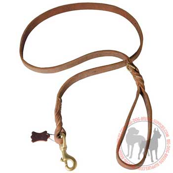 Dog leather leash corrosion resistant hardware