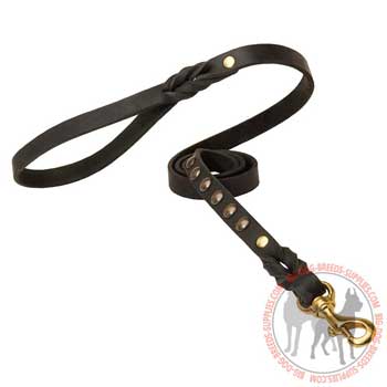 Dog leather leash rust proof fittings