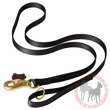 Dog nylon leash corrosion resistant hardware