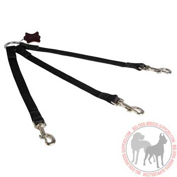 Nylon dog leash foe walking 