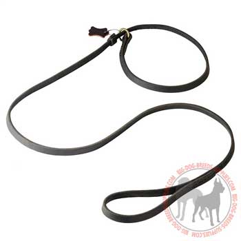 Dog shows leather leash and choke dog collar combo