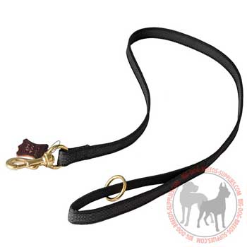 Dog leash nylon durable and strong