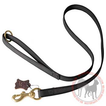 Nylon leash for dogs equipped with rubber lines