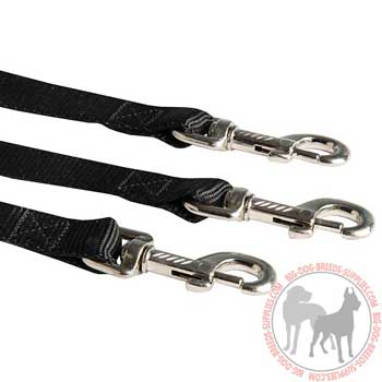 Dog triple coupler with three snap hooks