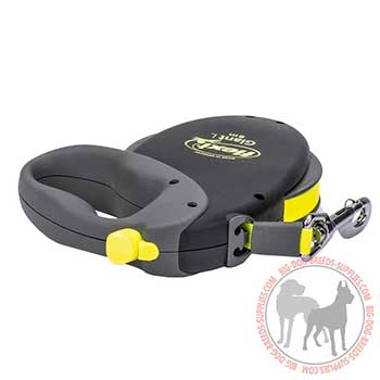 Amazing Leash for Medium Dog Breeds