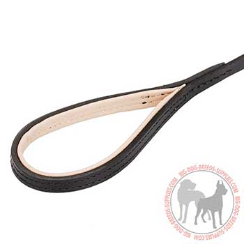 Leather Dog Leash with Comfy Handle