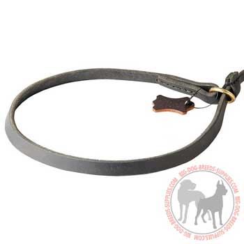 Leather choke dog collar as a part of dog walking leash