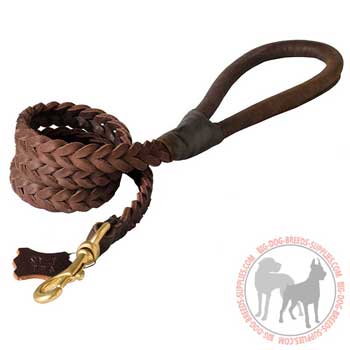 Leather Dog Leash for Training