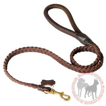 Leather Dog Leash for Walking