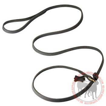 Leather dog leash and choke dog collar combination