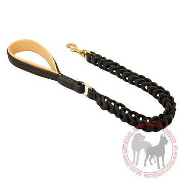 Leather Dog Leash with Brass Hardware