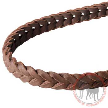 Leather Leash Braid in Brown Color