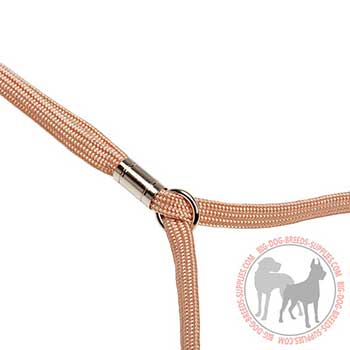 Dog Nylon Leash and Collar with Size Fixer