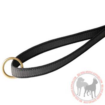 Dog leash equipped with O-ring