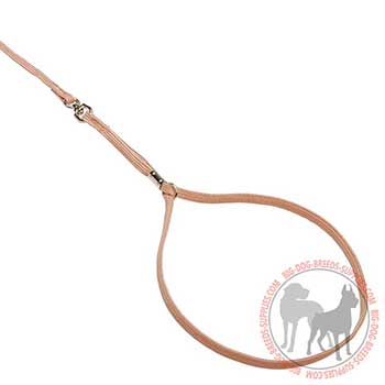 Nylon Dog Leash with Reliable Hardware