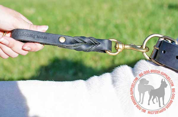 Dog Leash Pull Tab for Proper Management of Large Canine