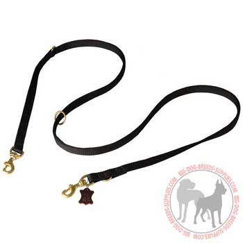 Nylon multipurpose dog lead perfect for all weather conditions