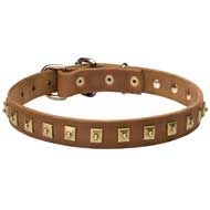 Awesome Leather Canine Collar with 1 Row of Nickel Studs 25 mm wide