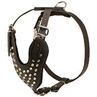 Strong Leather Harness with Nickel Pyramids for Daily Walking