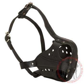 Dog leather muzzle for attack training