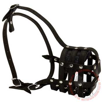 Leather dog muzzle durable equipment