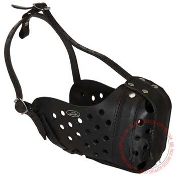 Leather dog muzzle for attack training