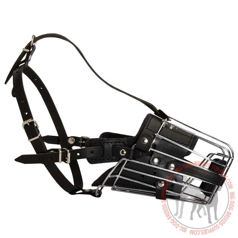 Order Metal Cage Dog Muzzle Dog Walking and Training Muzzles