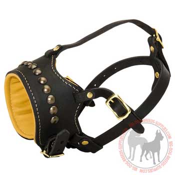 Dog leather muzzle with reliable straps