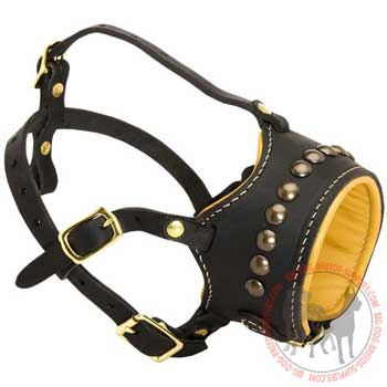 Muzzle dog leather easily adjustable